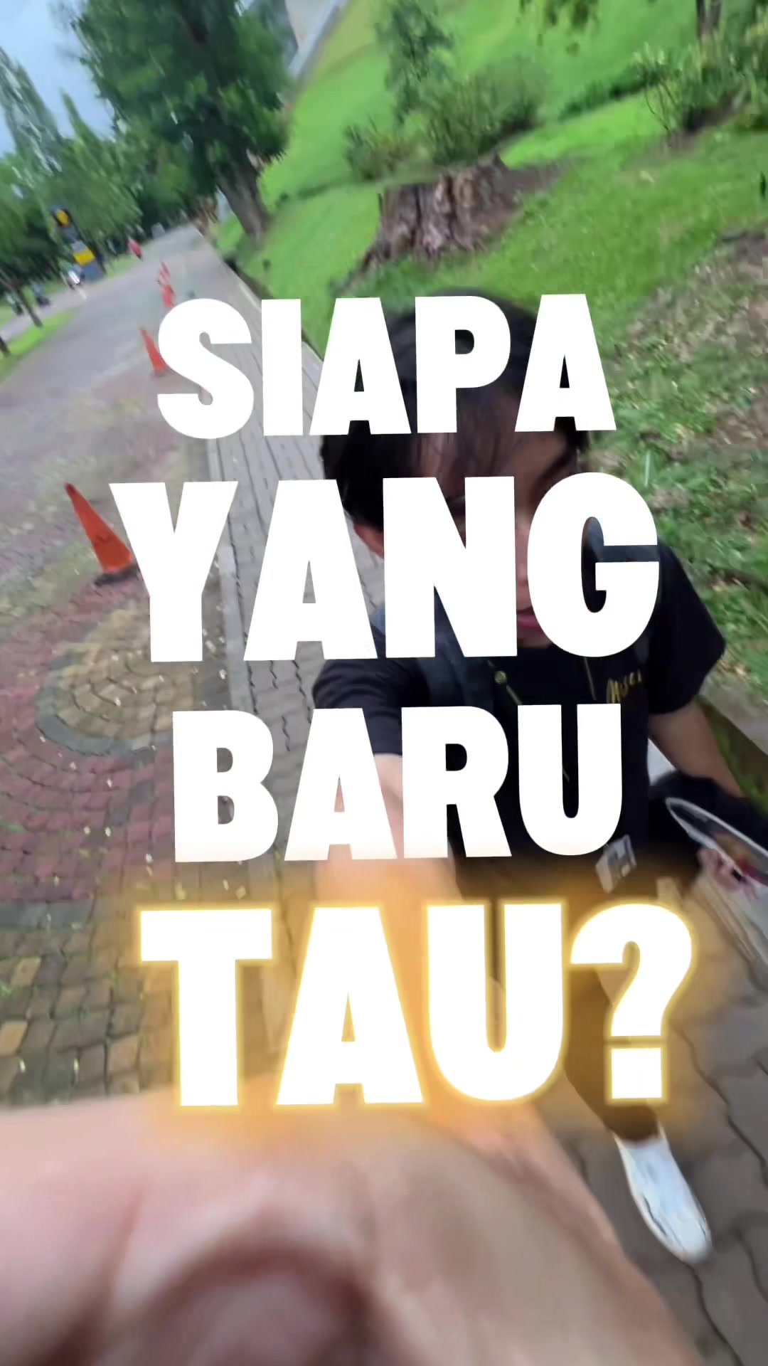 @ichibanniwniw