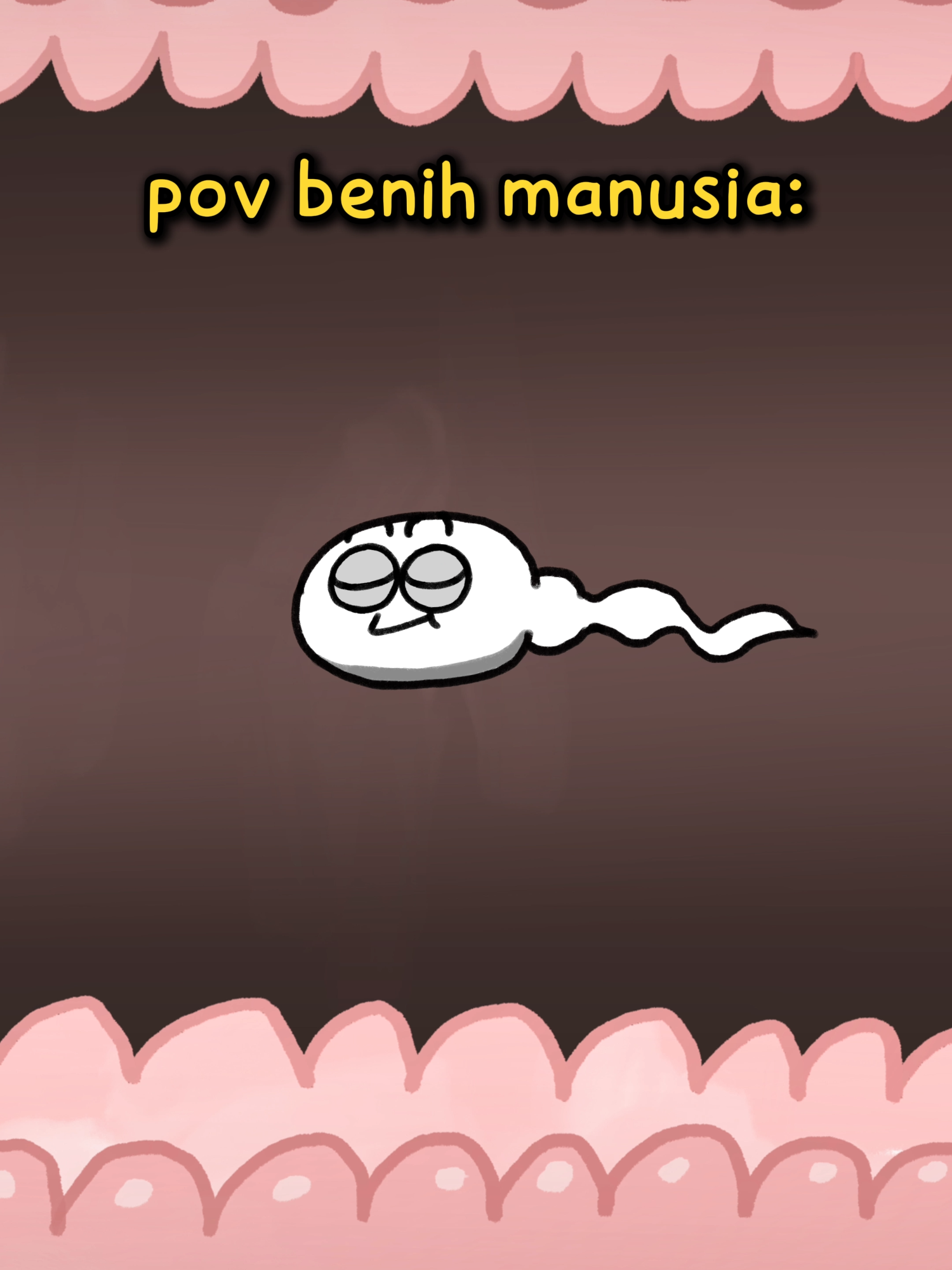 @Animasinopal