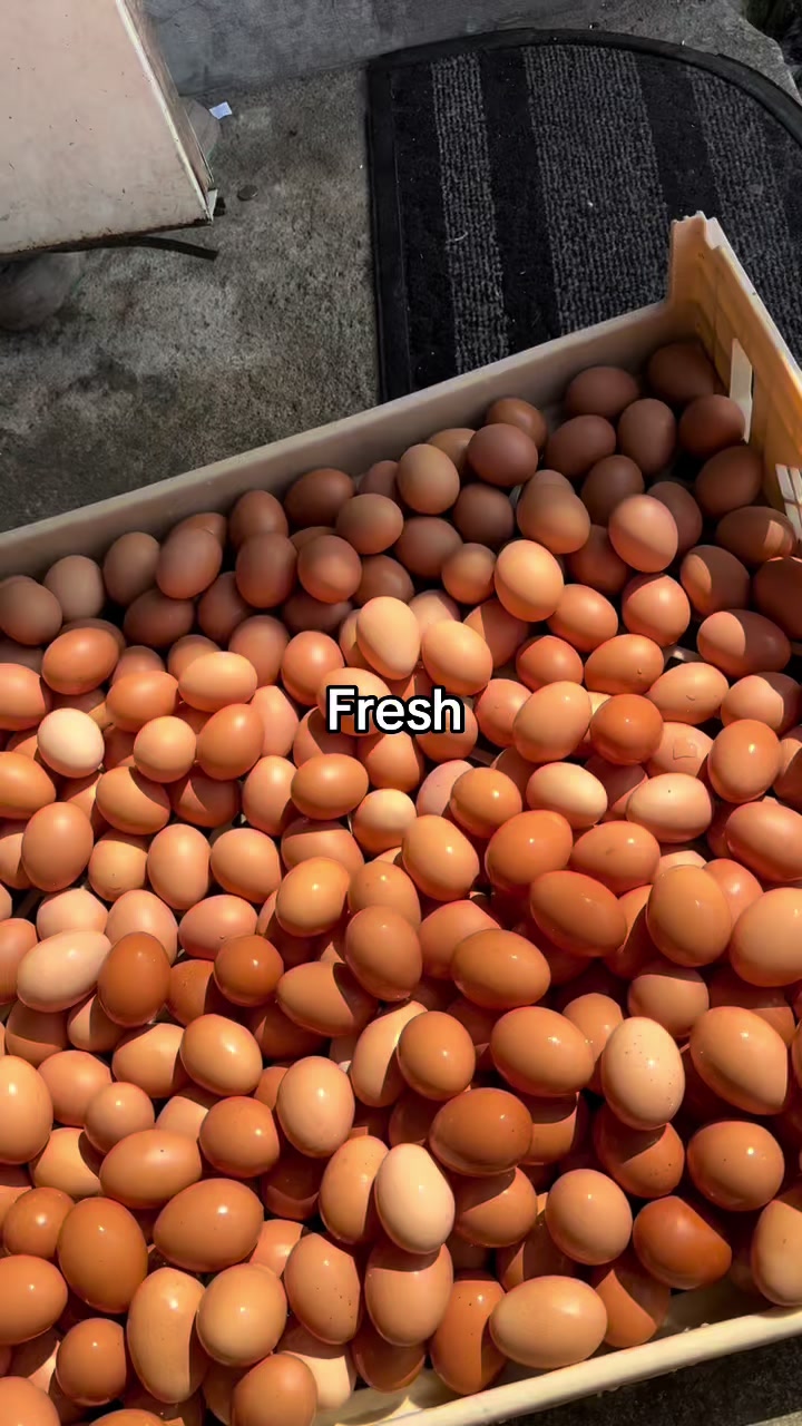 @KK Farm Fresh LTD.🇯🇲