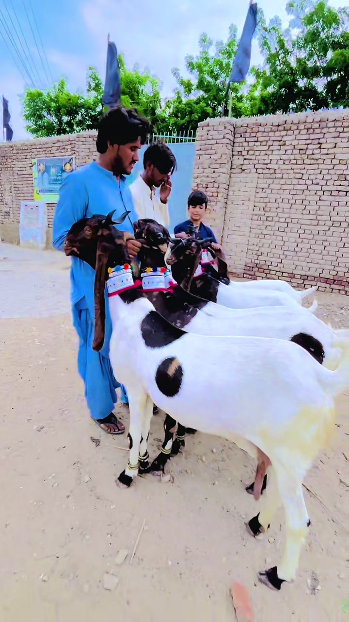 @arif_bhai55 03173743223