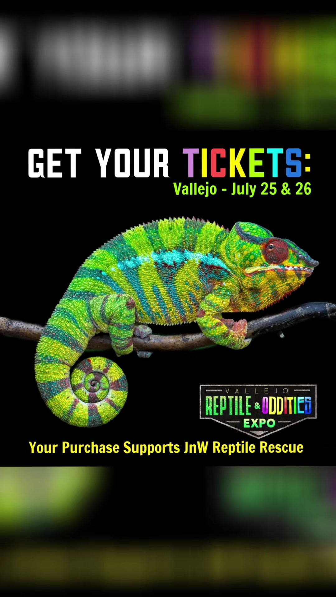 @reptile_garage