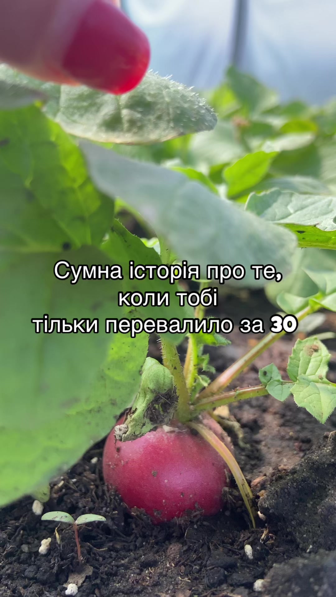 @Катеринка 🇺🇦