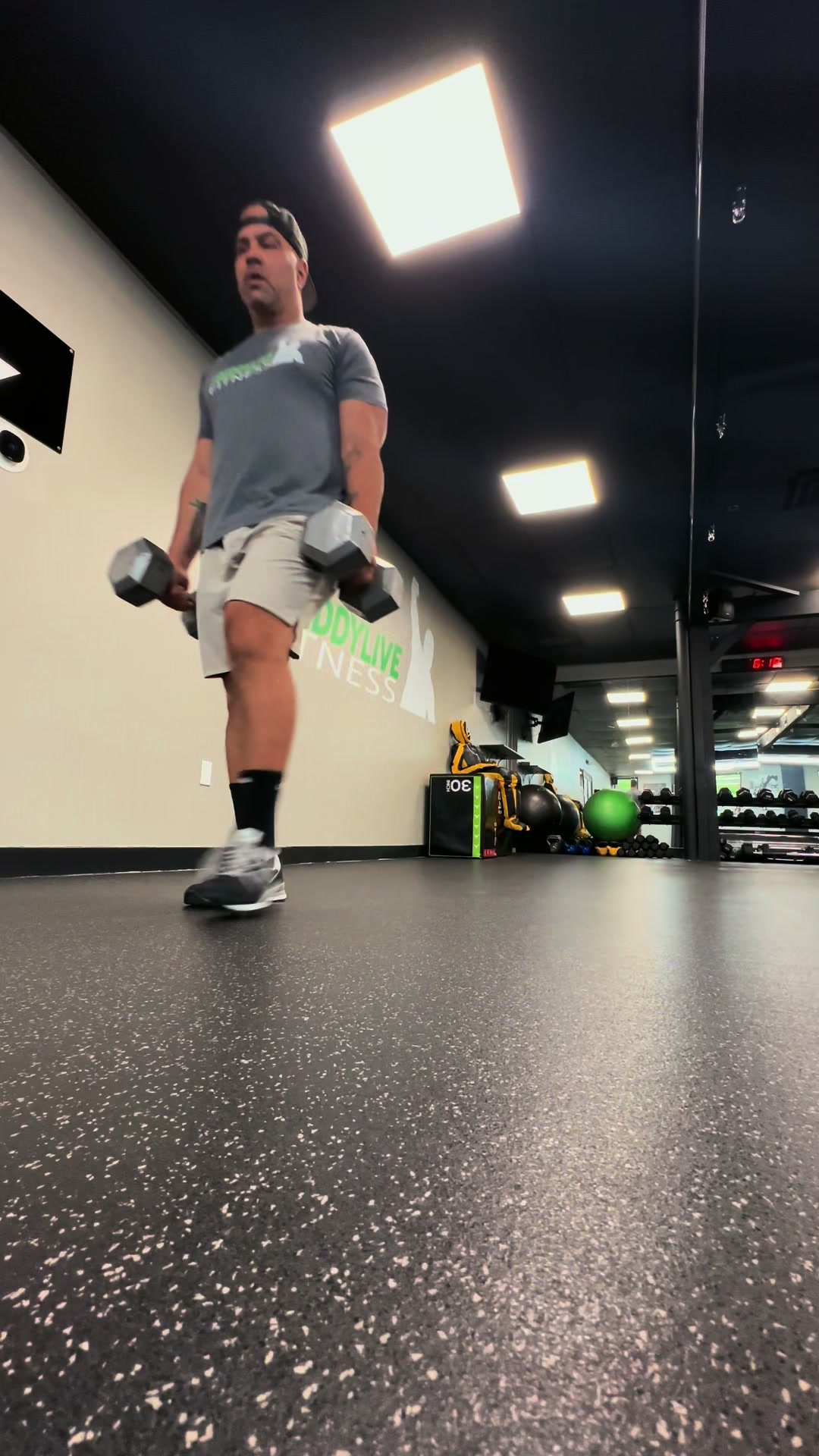 @Freddylive Fitness