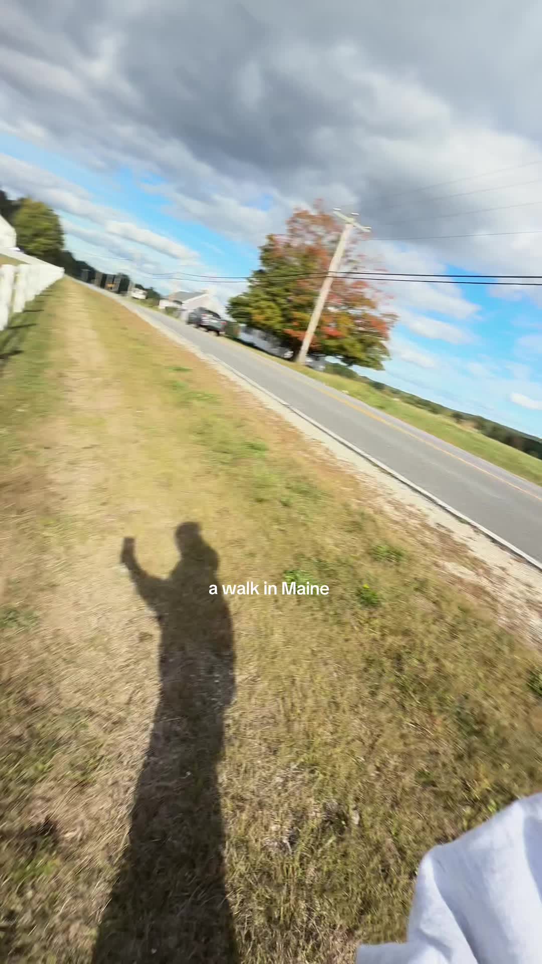@chloewhipplee