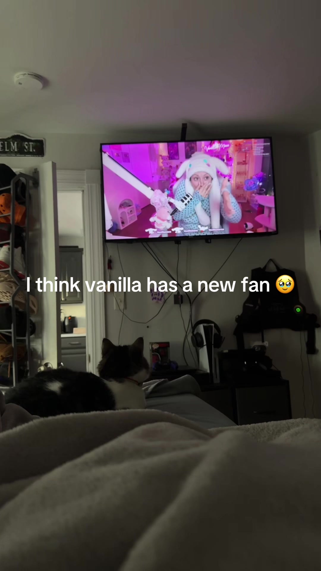 @Ari😏