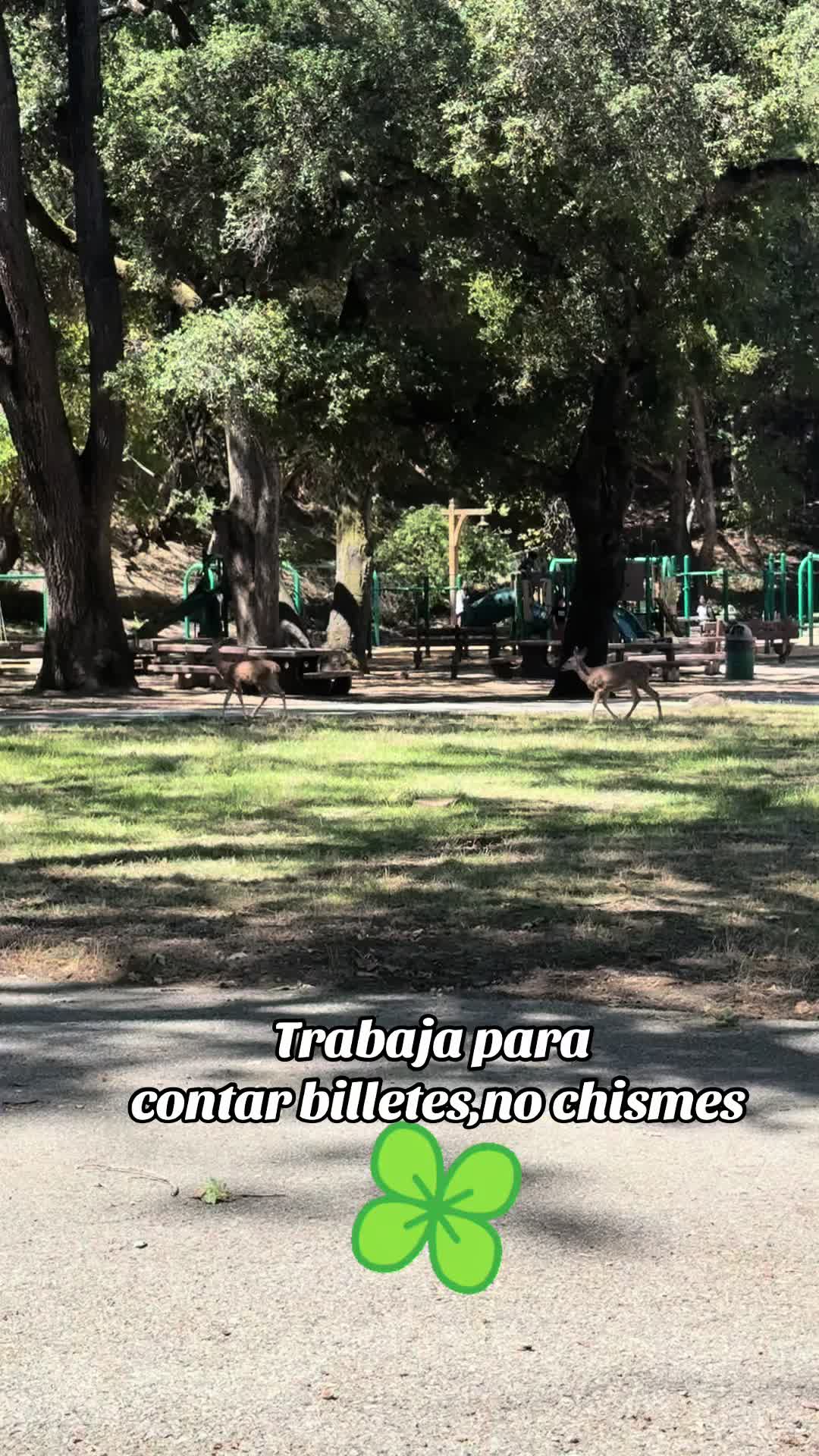 @EDMUNDO RAMÍREZ