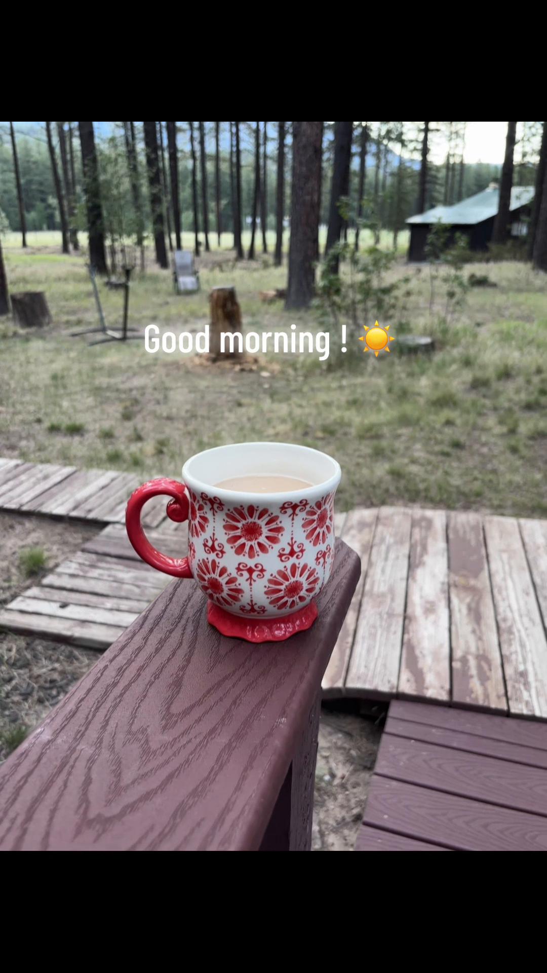 @gemininikkie00