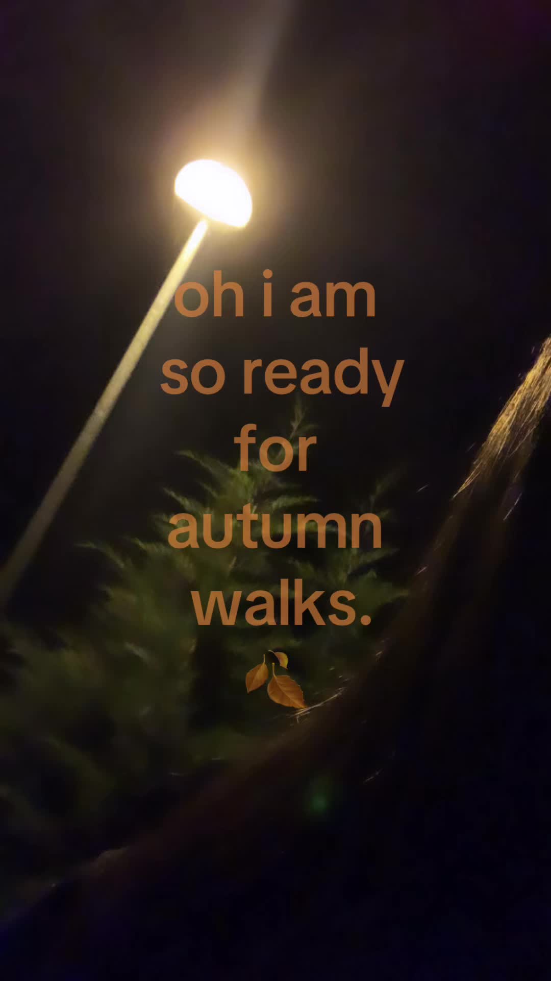 @𑣲𝑛𝑎𝑛𝑎