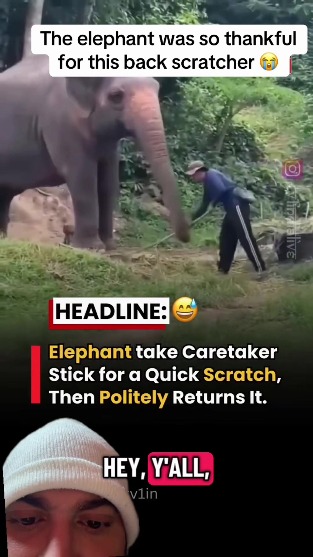 @mickystickey