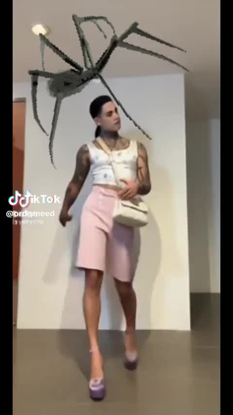 @Linkin.Rod.🛡️
