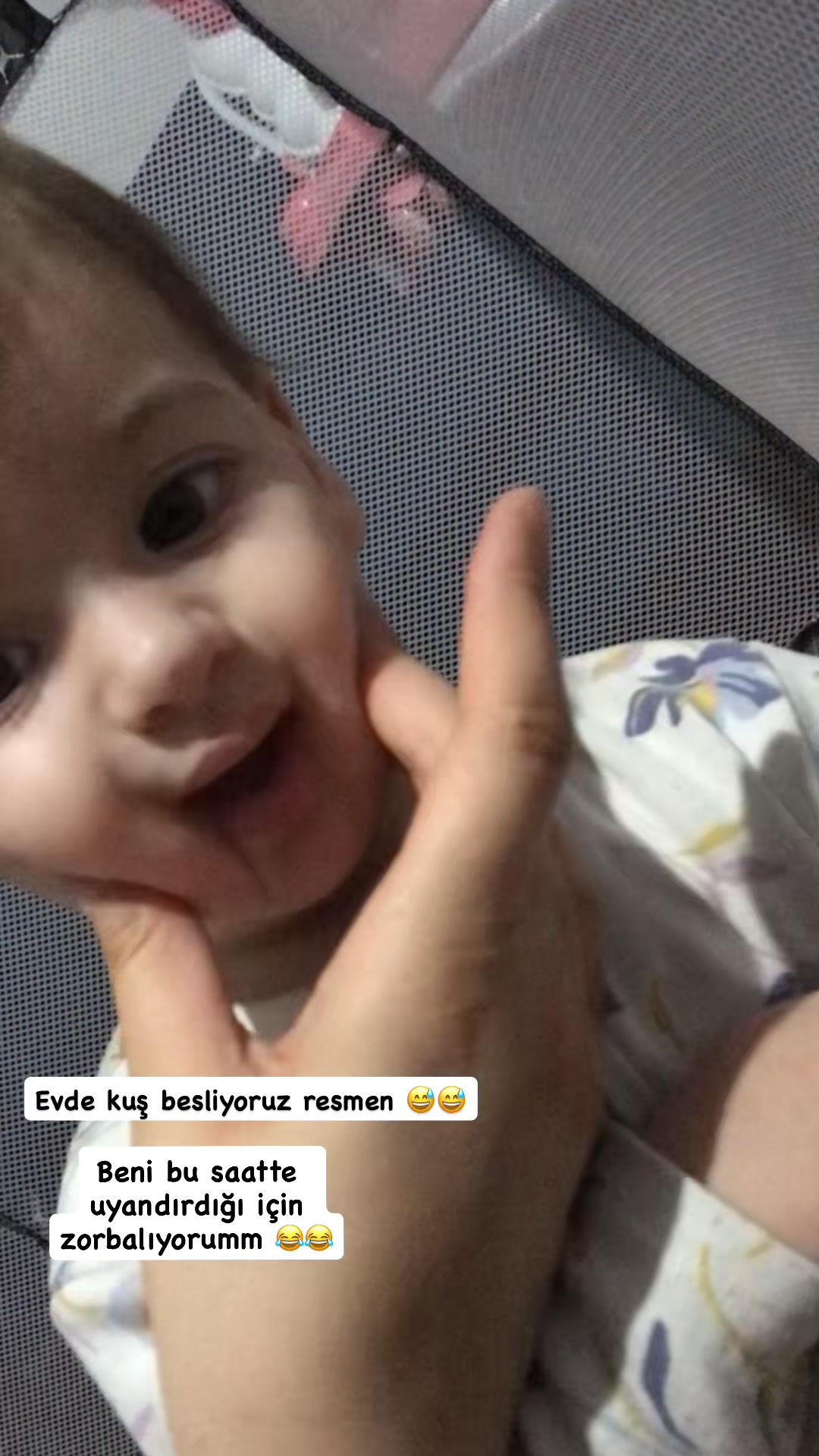 @&Ccedil;ağla 🐆