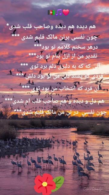 @hila 🇦🇫 ❣️ 🇺🇲
