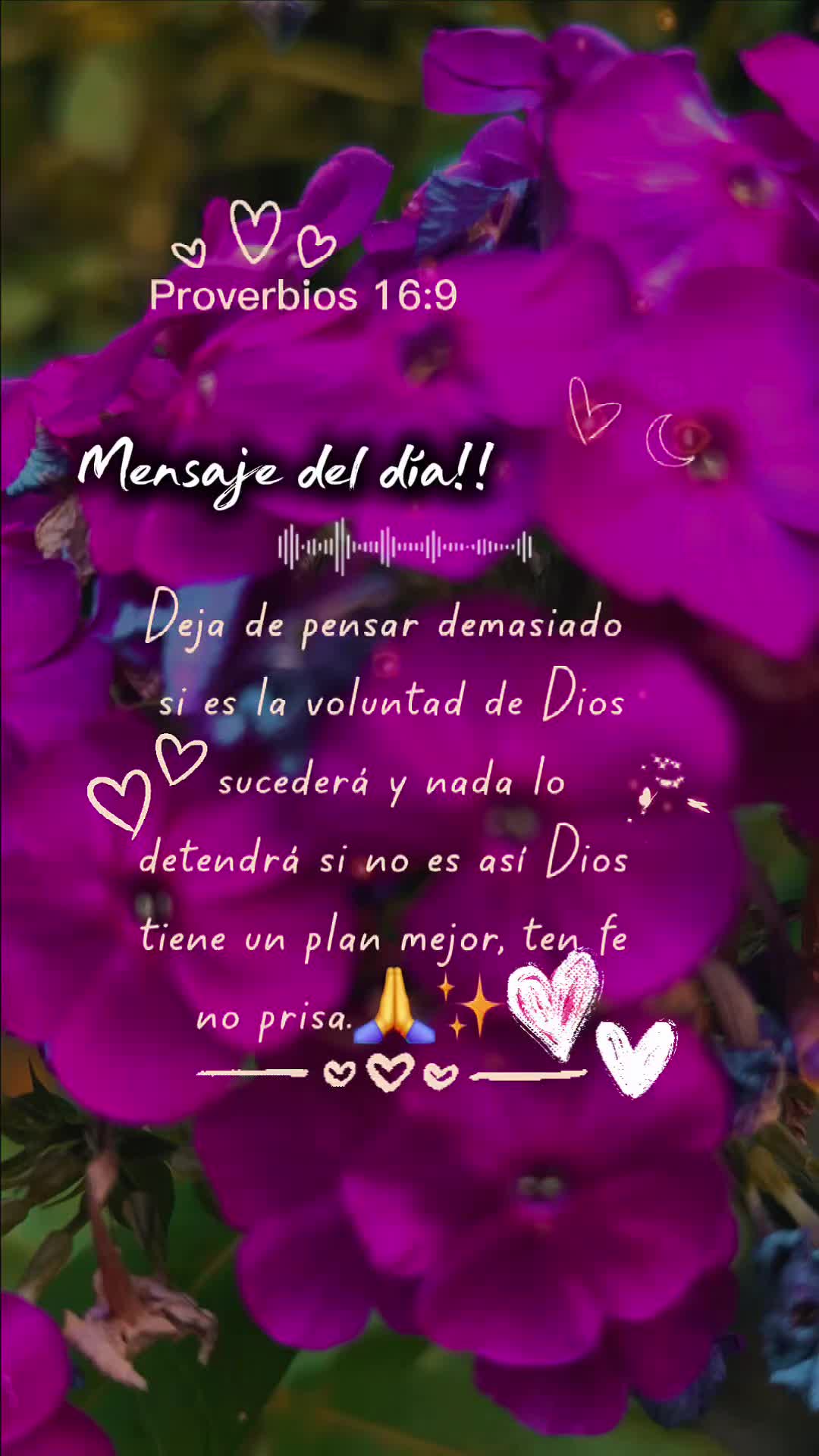 @doly.dfn