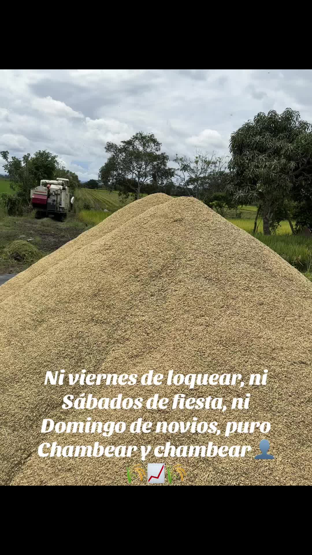 @Alejandro