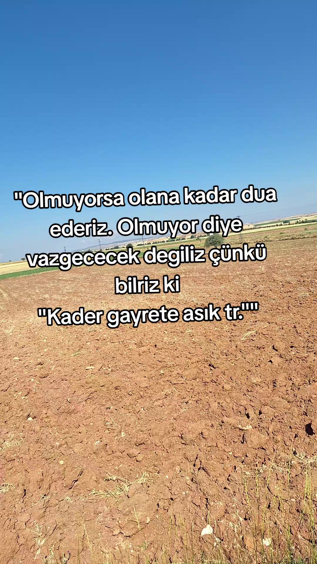 @Bet&uuml;l Halil sağ