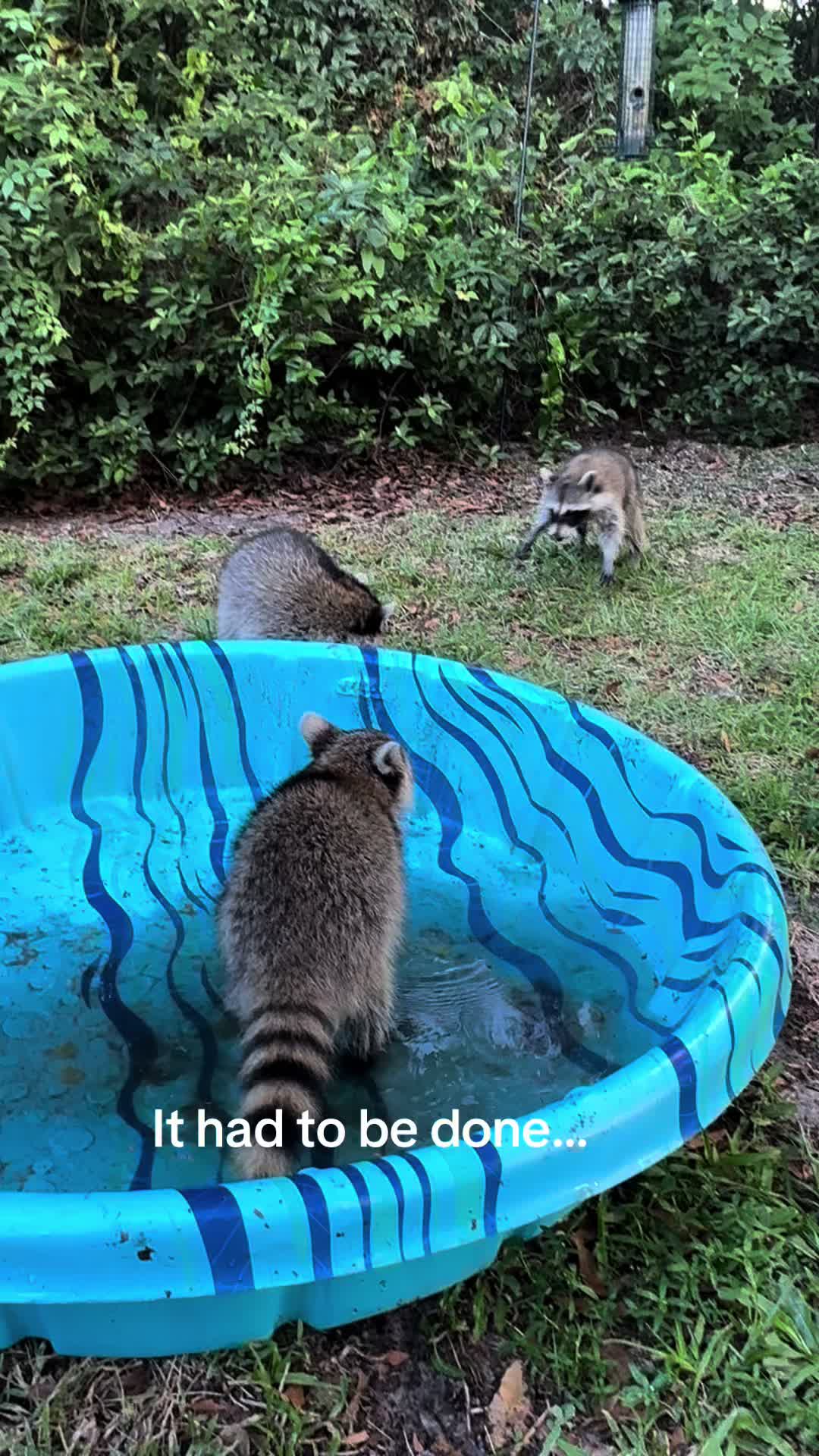 @bonnieontheloose