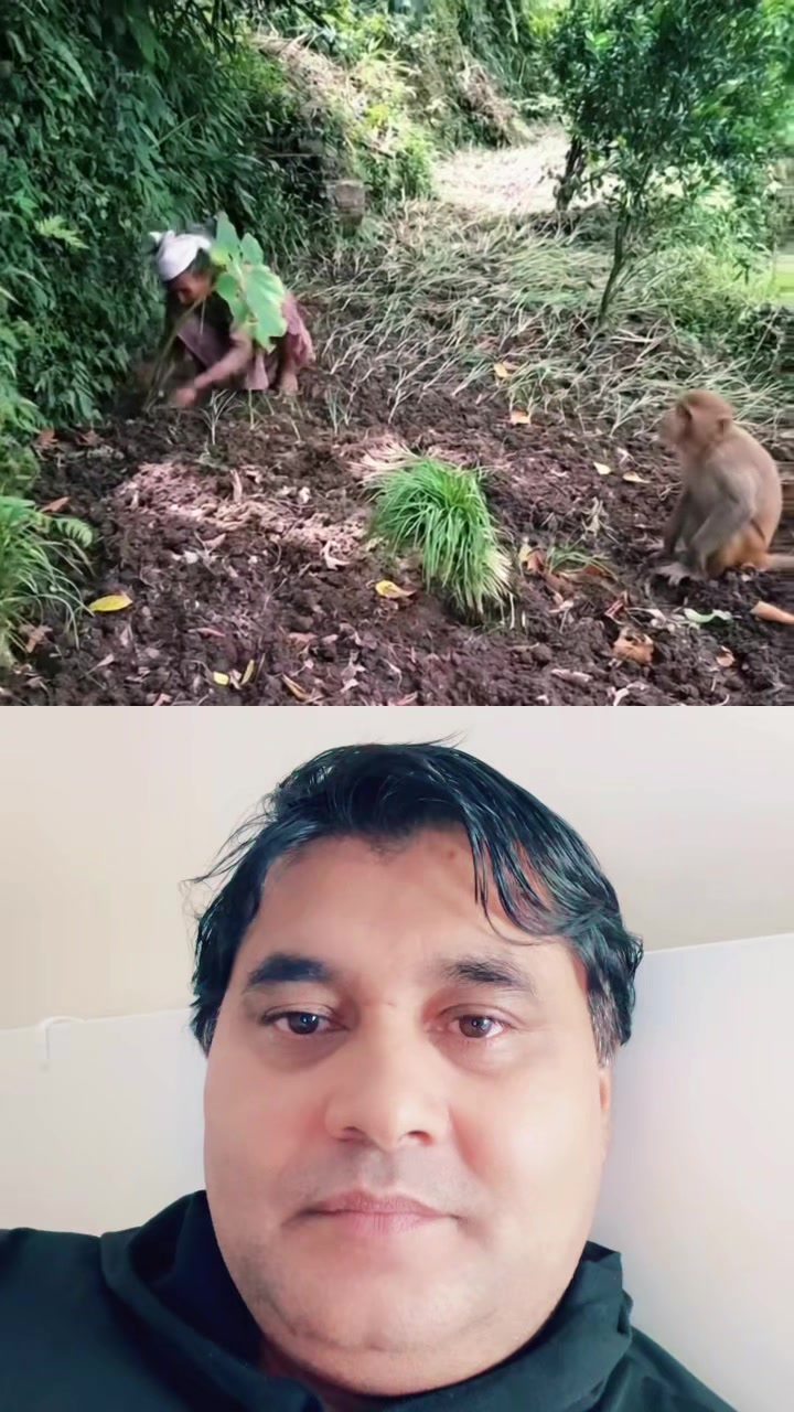 @Paudel Umakanta