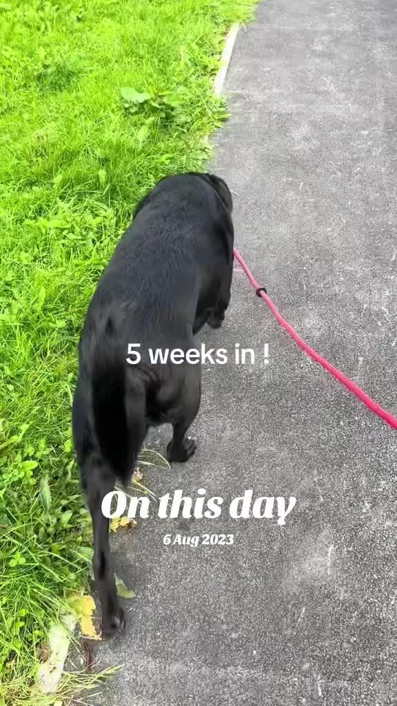 @wenwin07