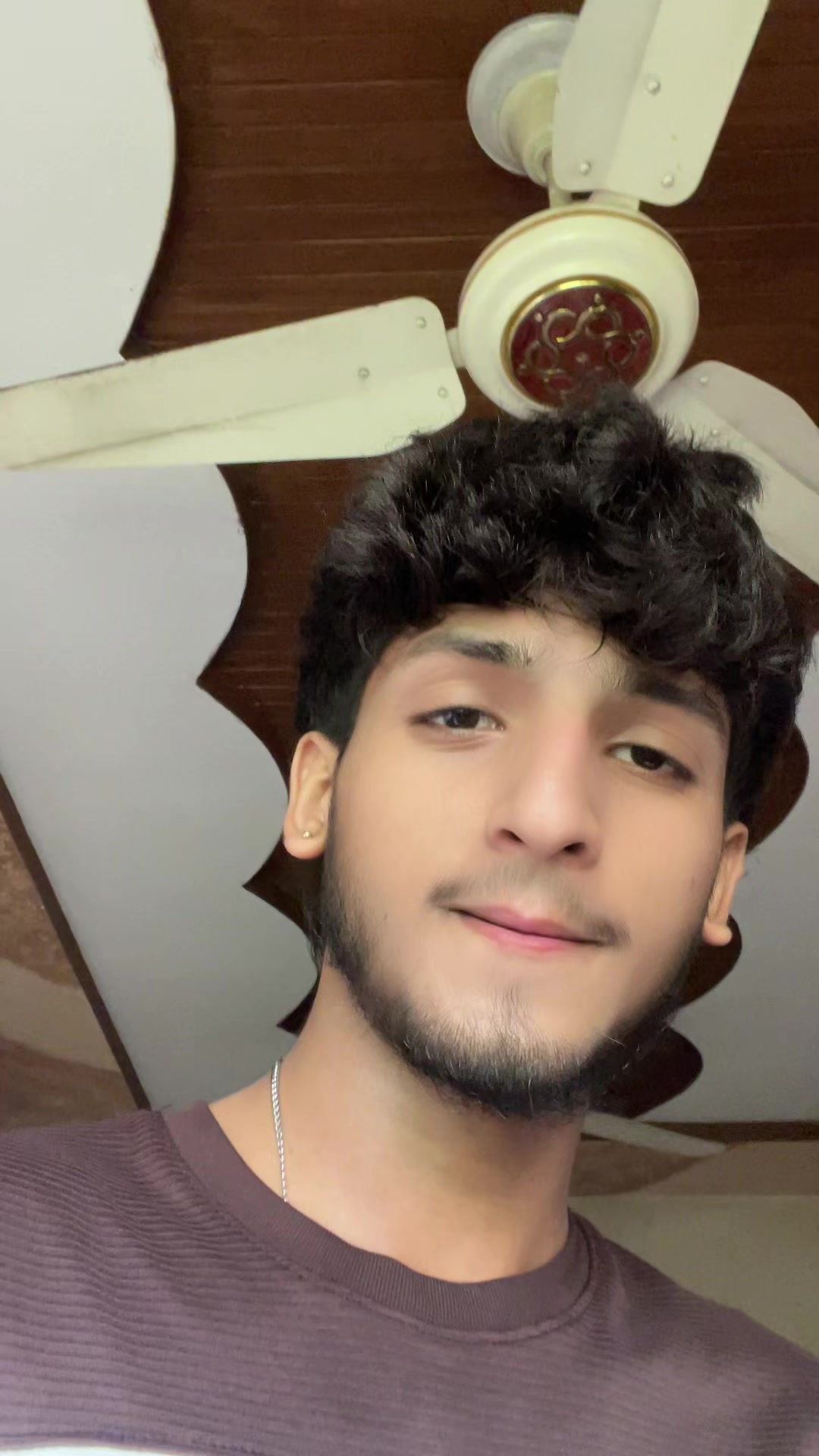 @🐊