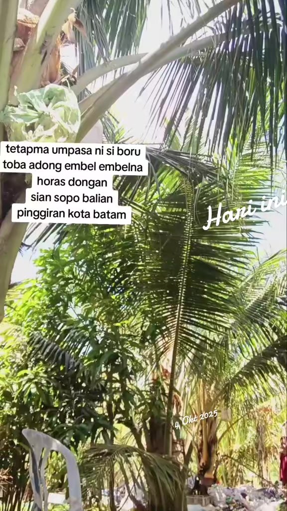 @SOPO BALIAN SI BORU TOBA