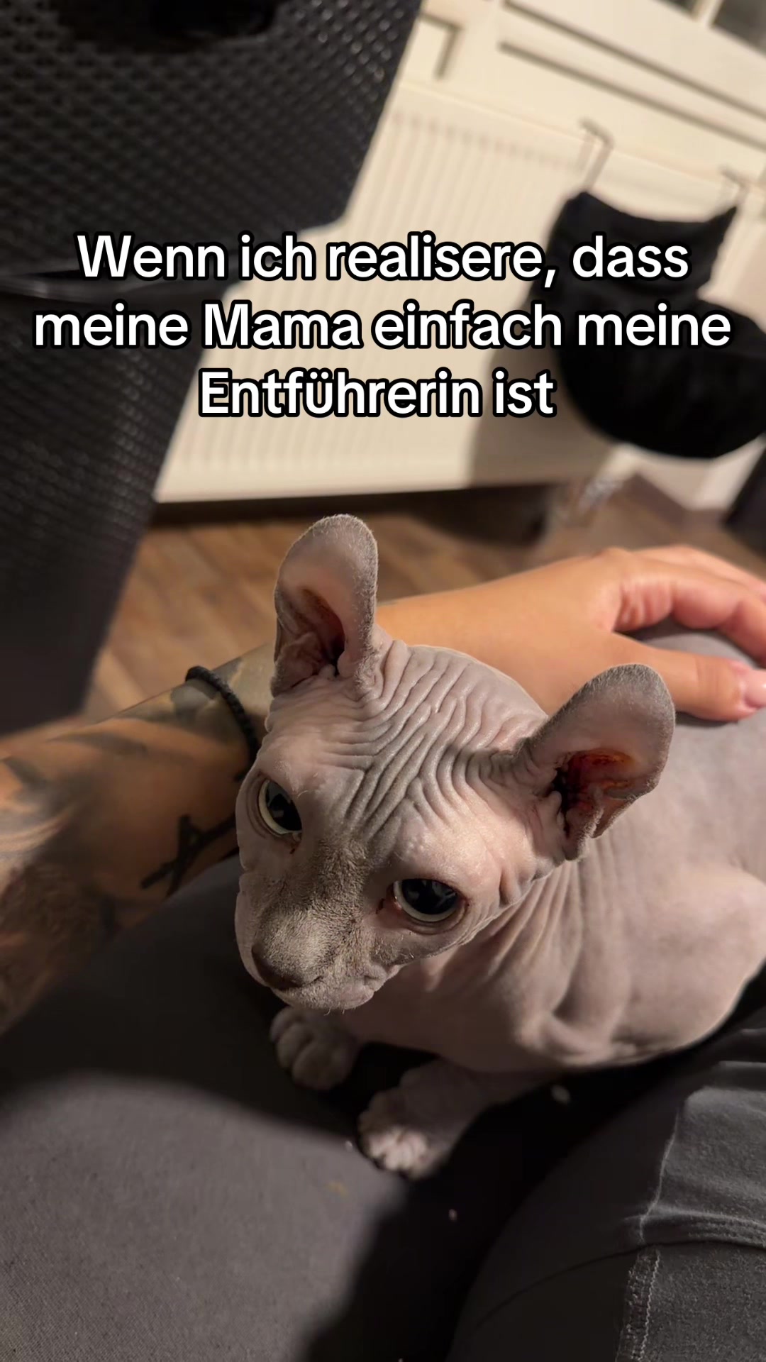 @Ekaterini Tsirikou