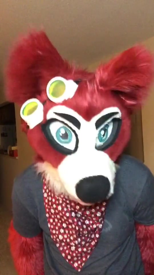 @🦊 Pete The Fox 🦊