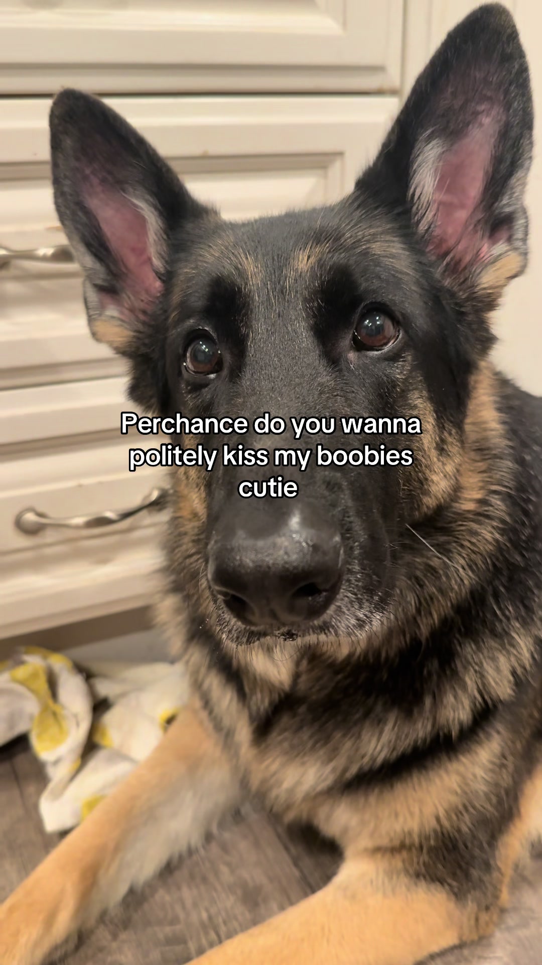 @Bhris