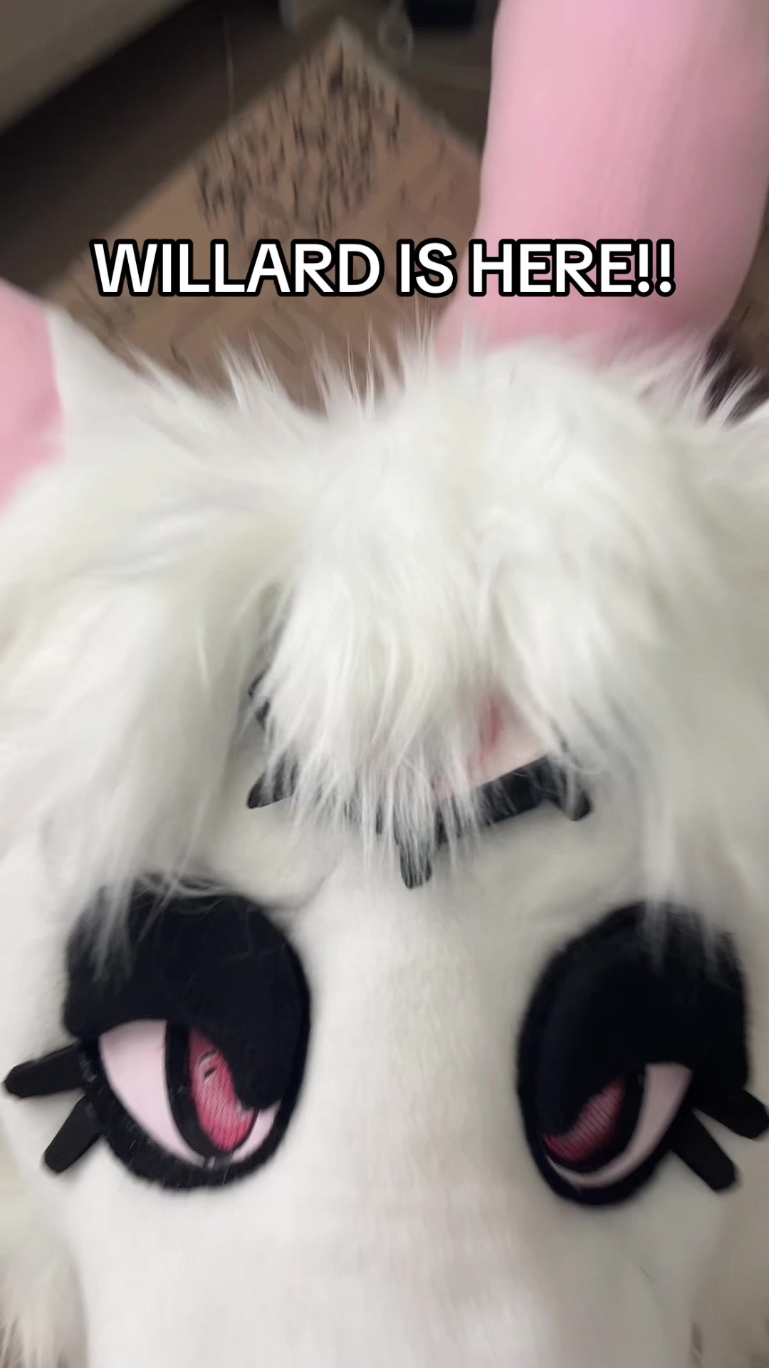 @polarizing.spark