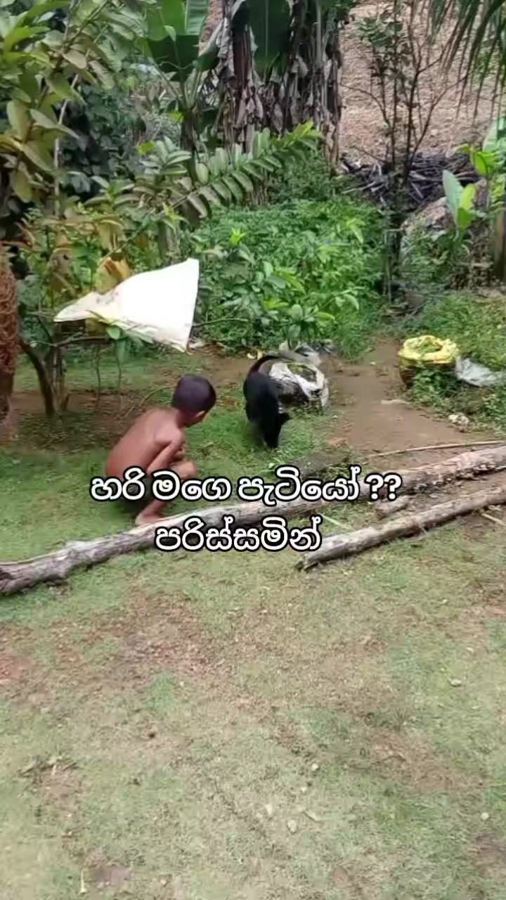 @mahi baba❤️🤭