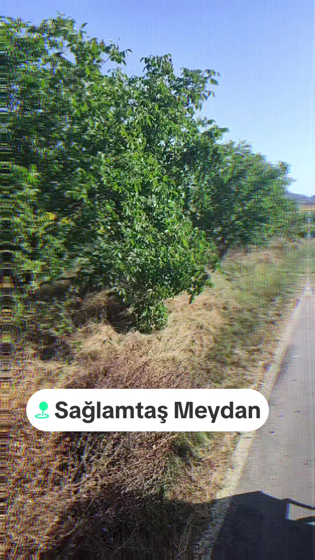 @Ferman 65Van59