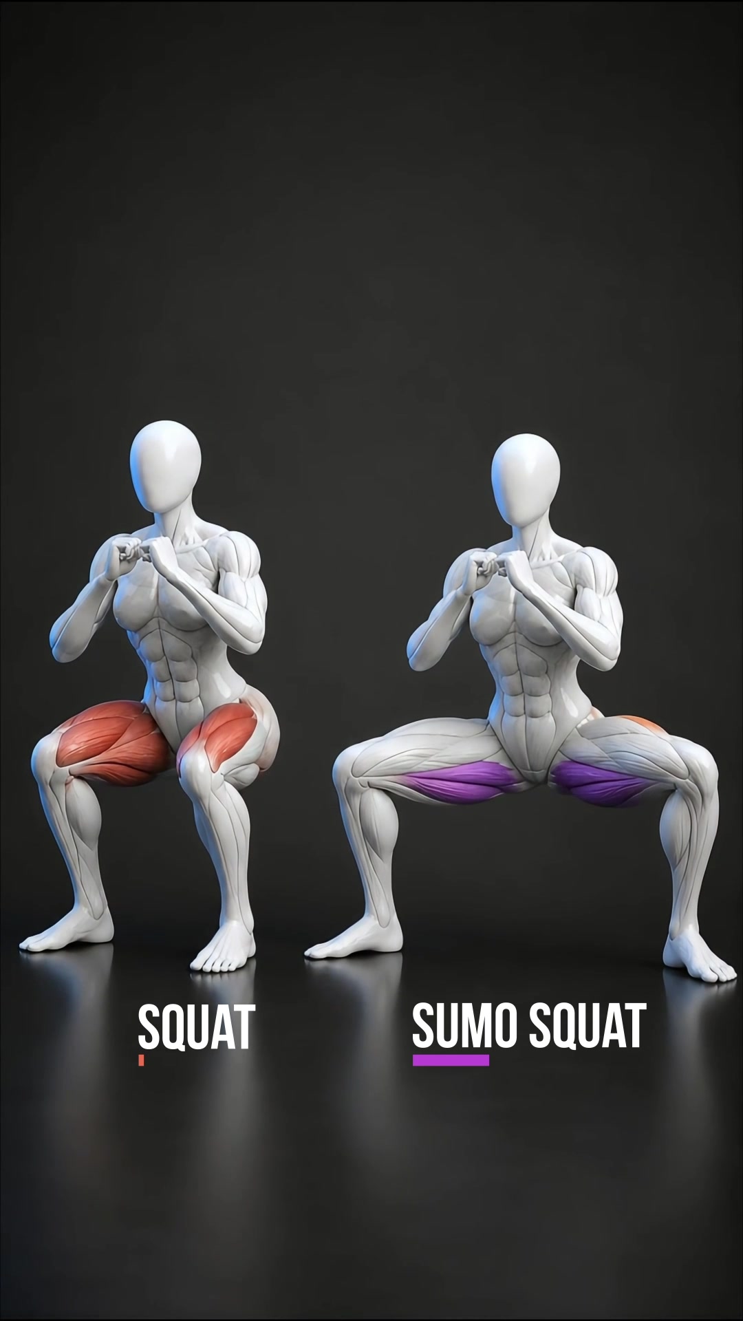 @Fitonomy