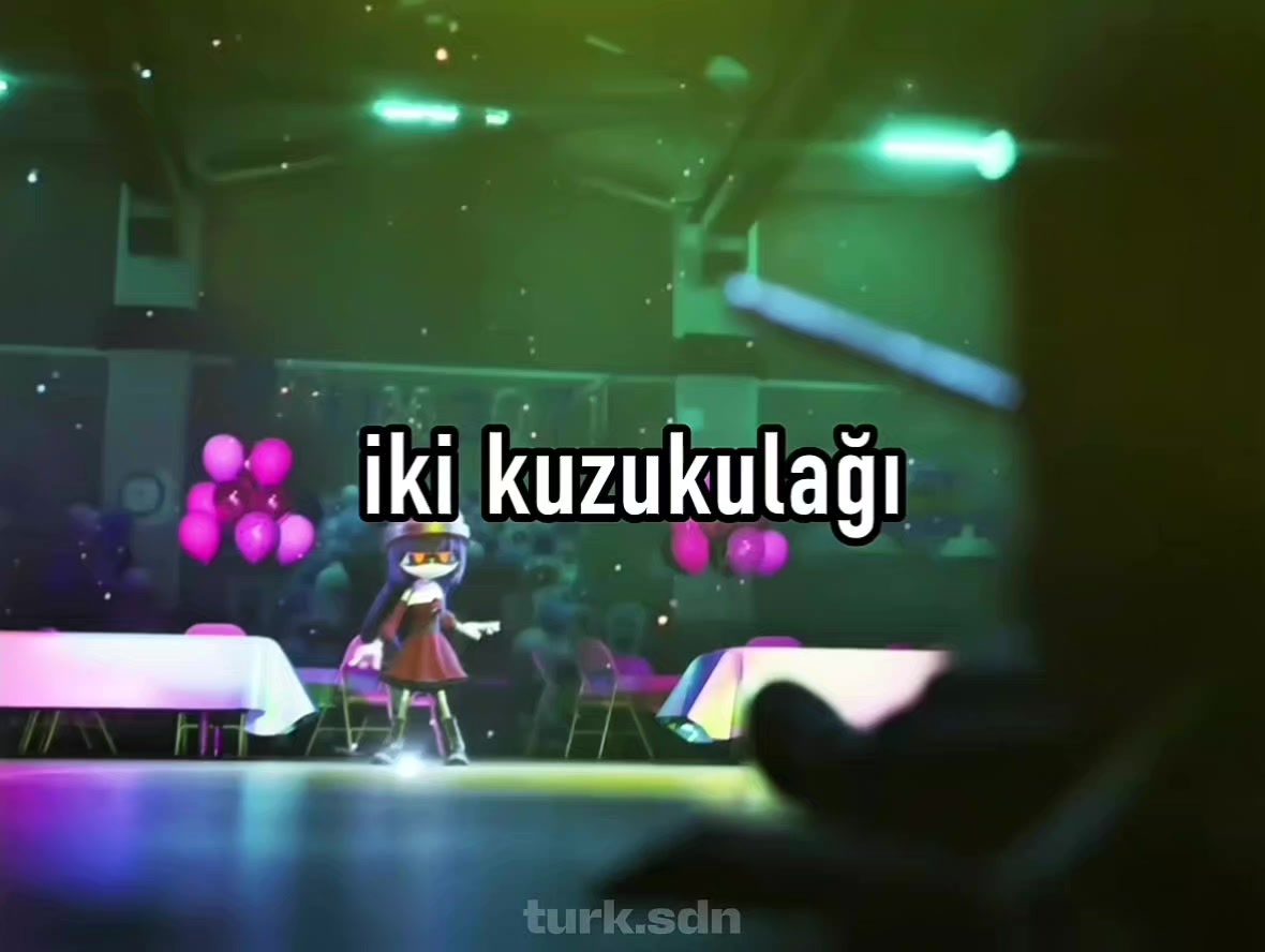 @T&uuml;rk SDN