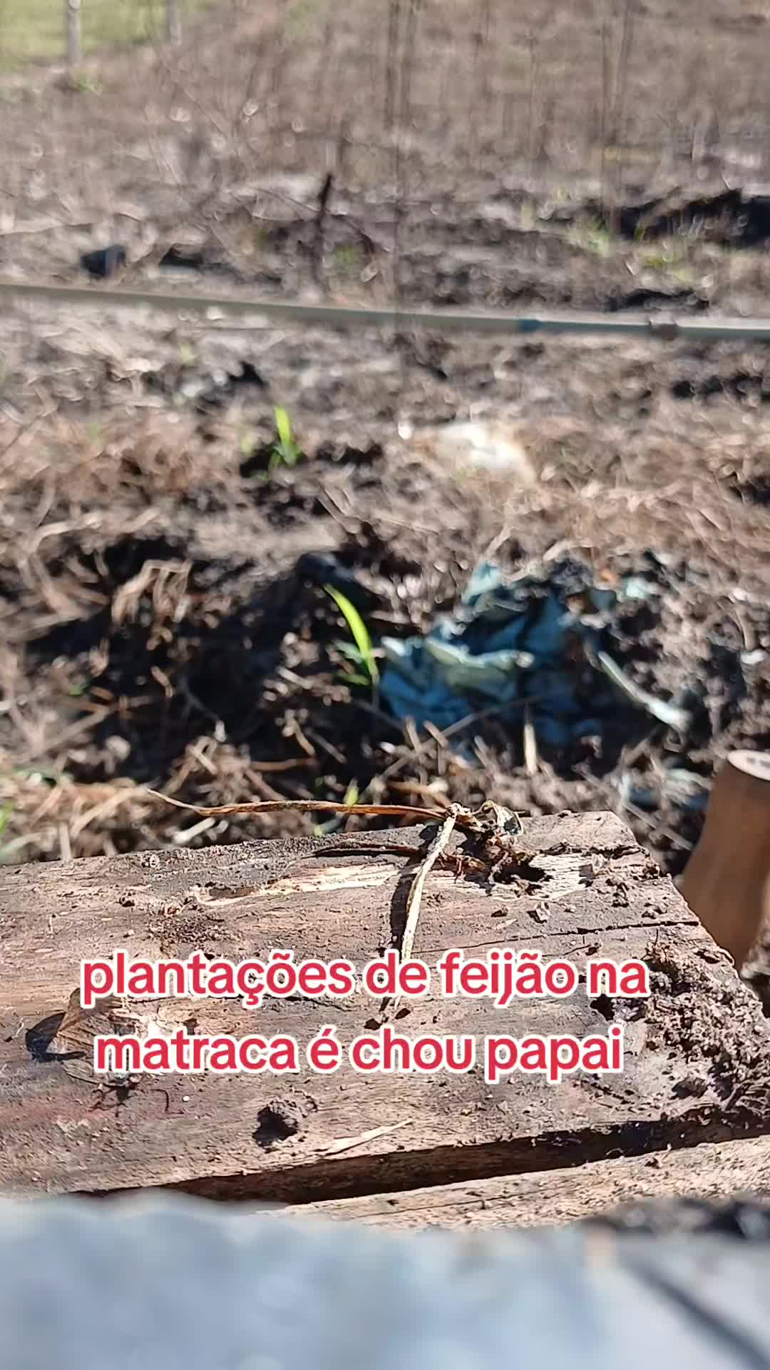 @ELIZEU Batista