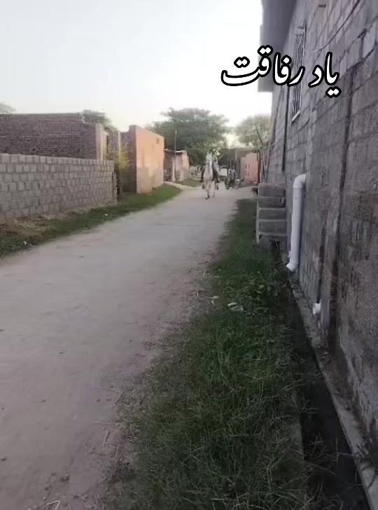 @Farasat Ali Ranjha Awan