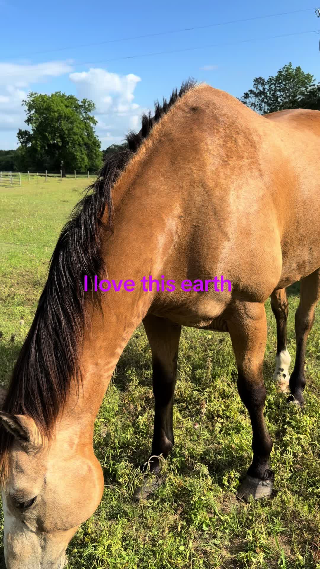 @bmr