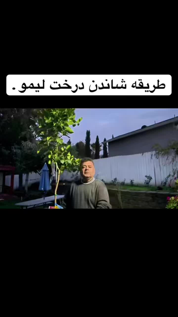 @Rahimi