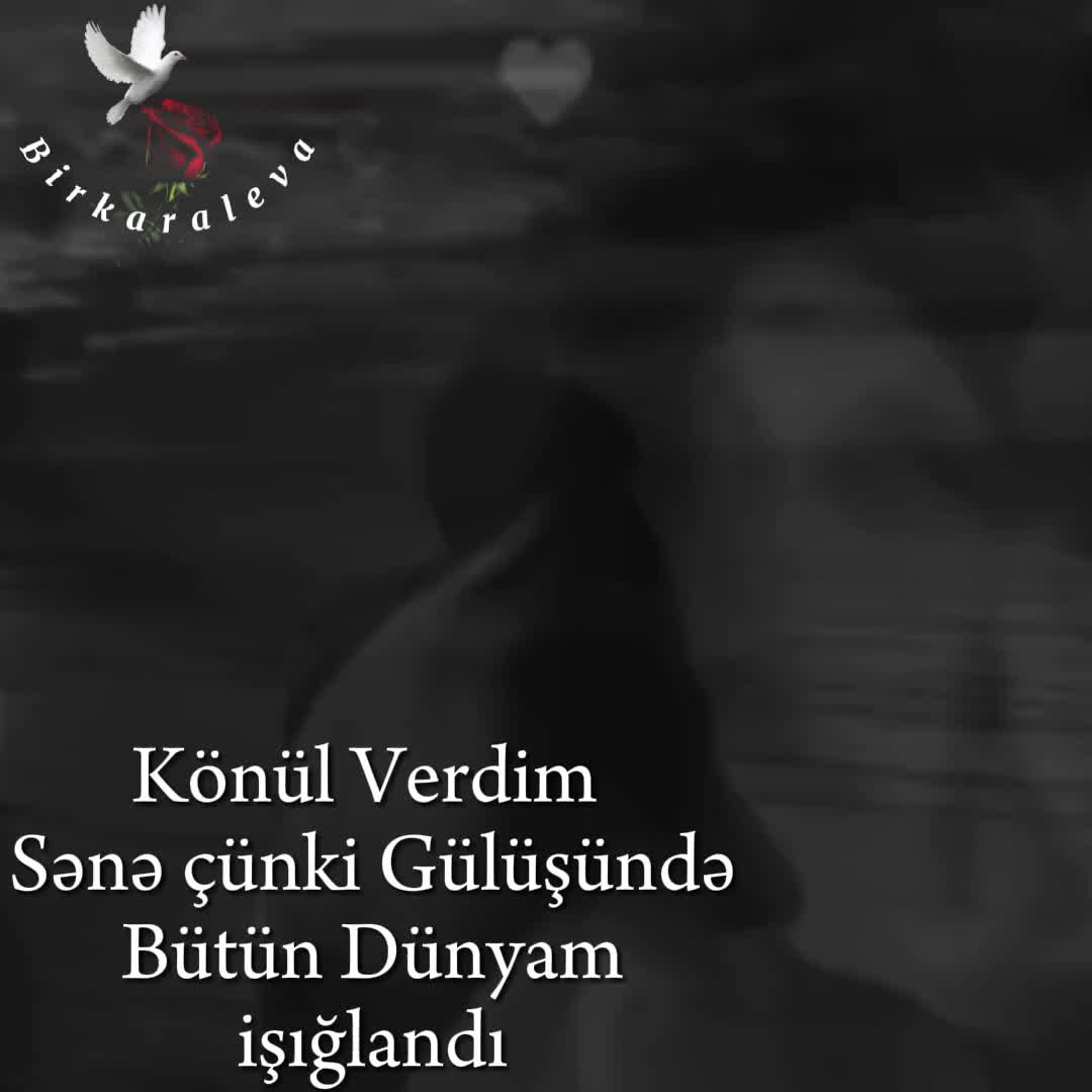 @✵𝑩𝑰𝑹𝑲𝑨𝑹𝑨𝑳𝑬𝑽𝑨✵