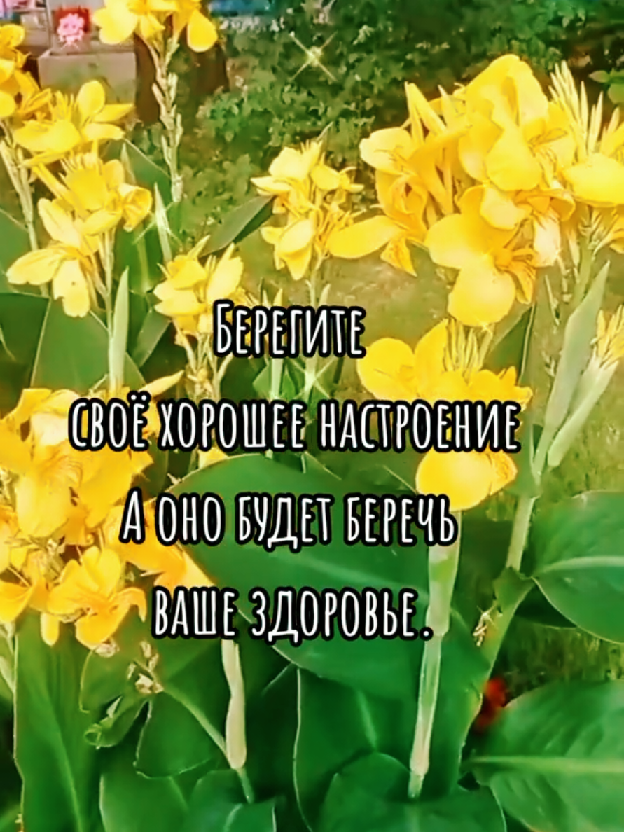 @Марина 🌹🍃