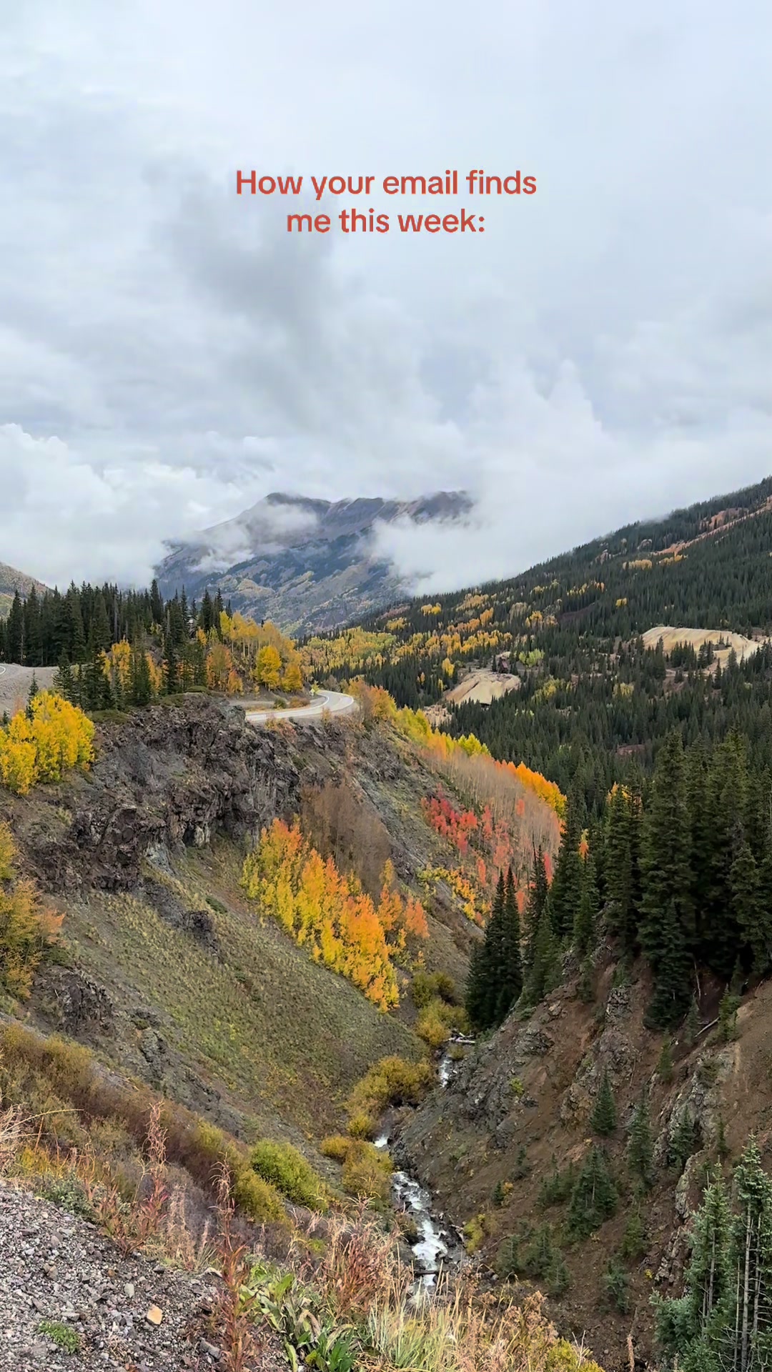 @colorado elopements