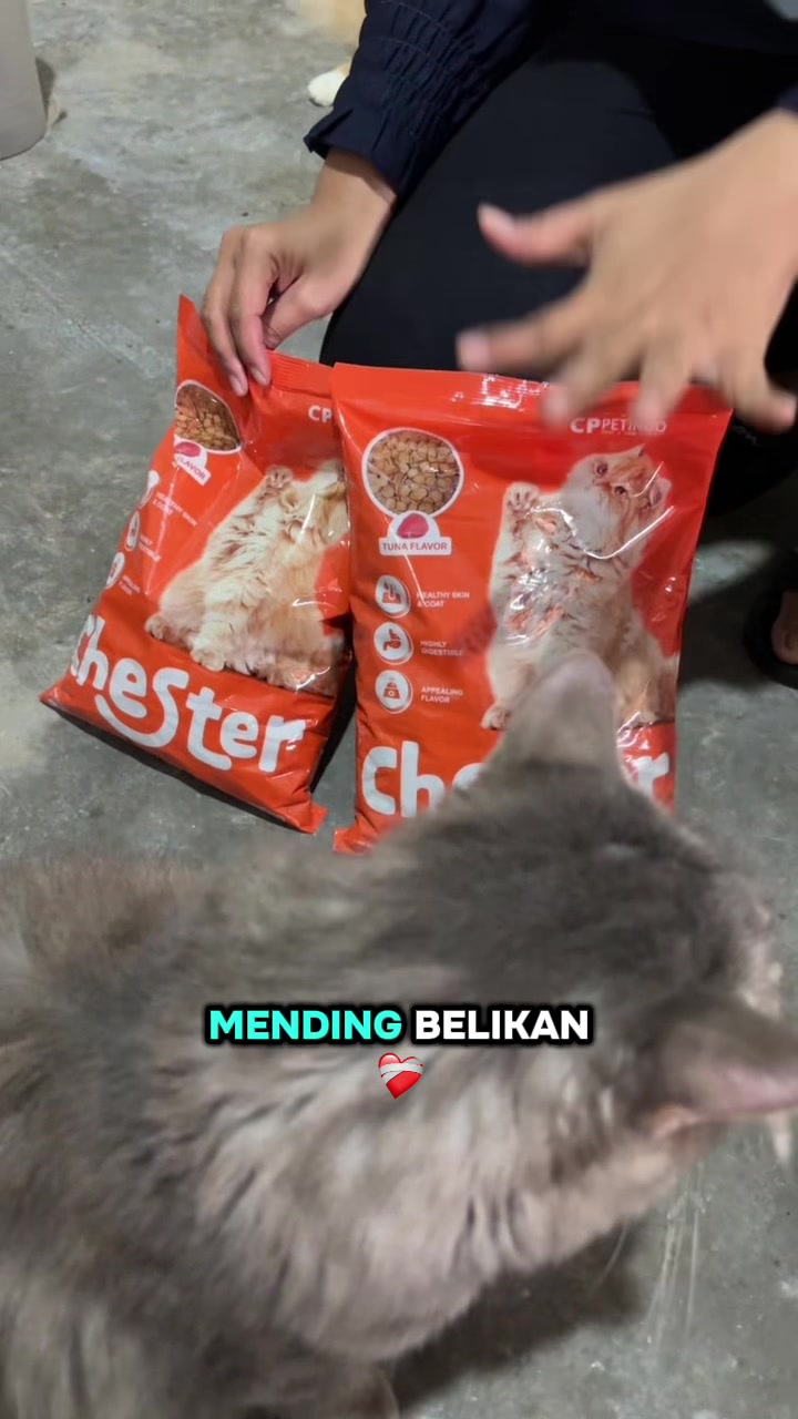 @BUMI ANABUL😺