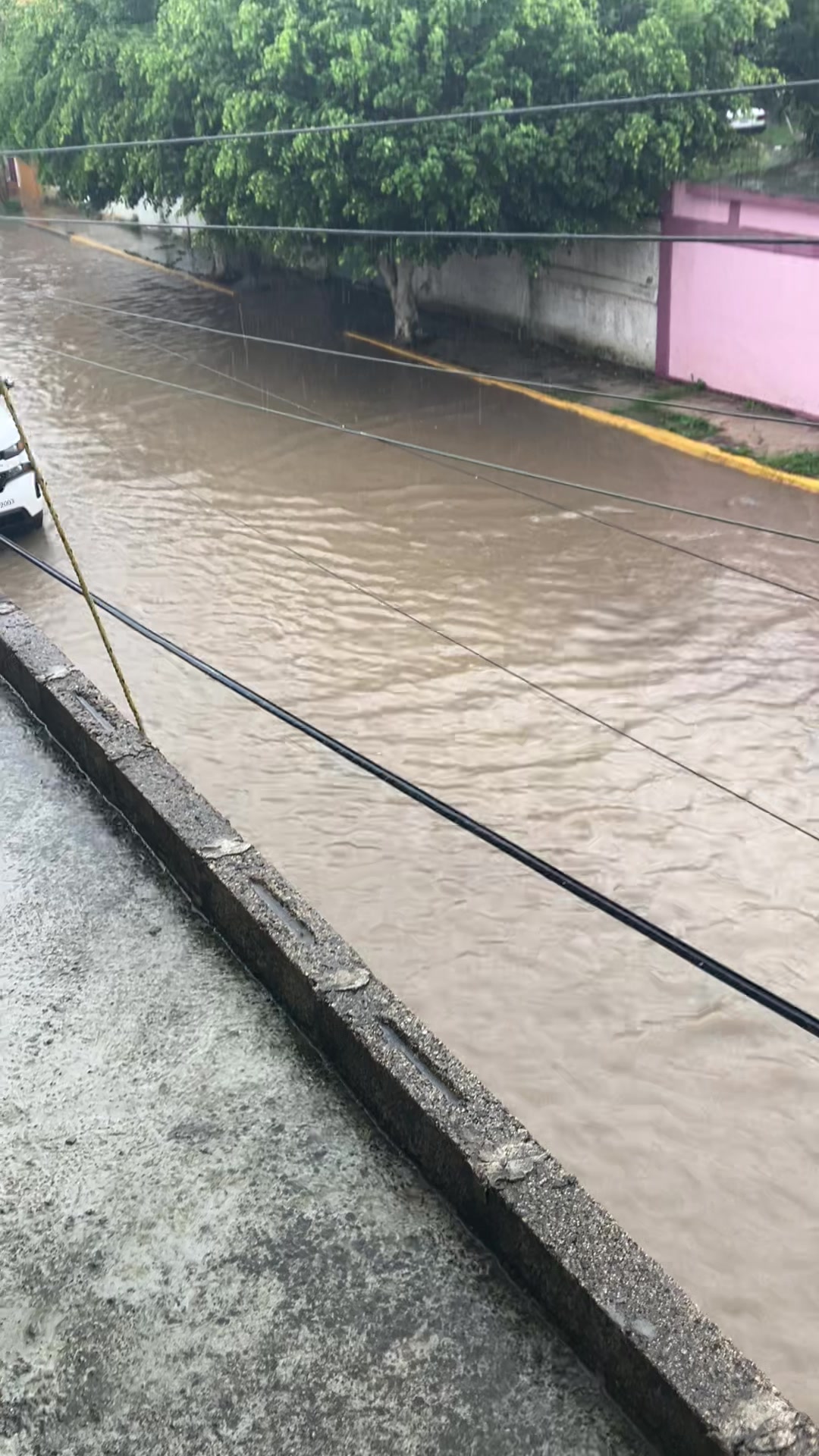 @Venustiano Carranza Puebla