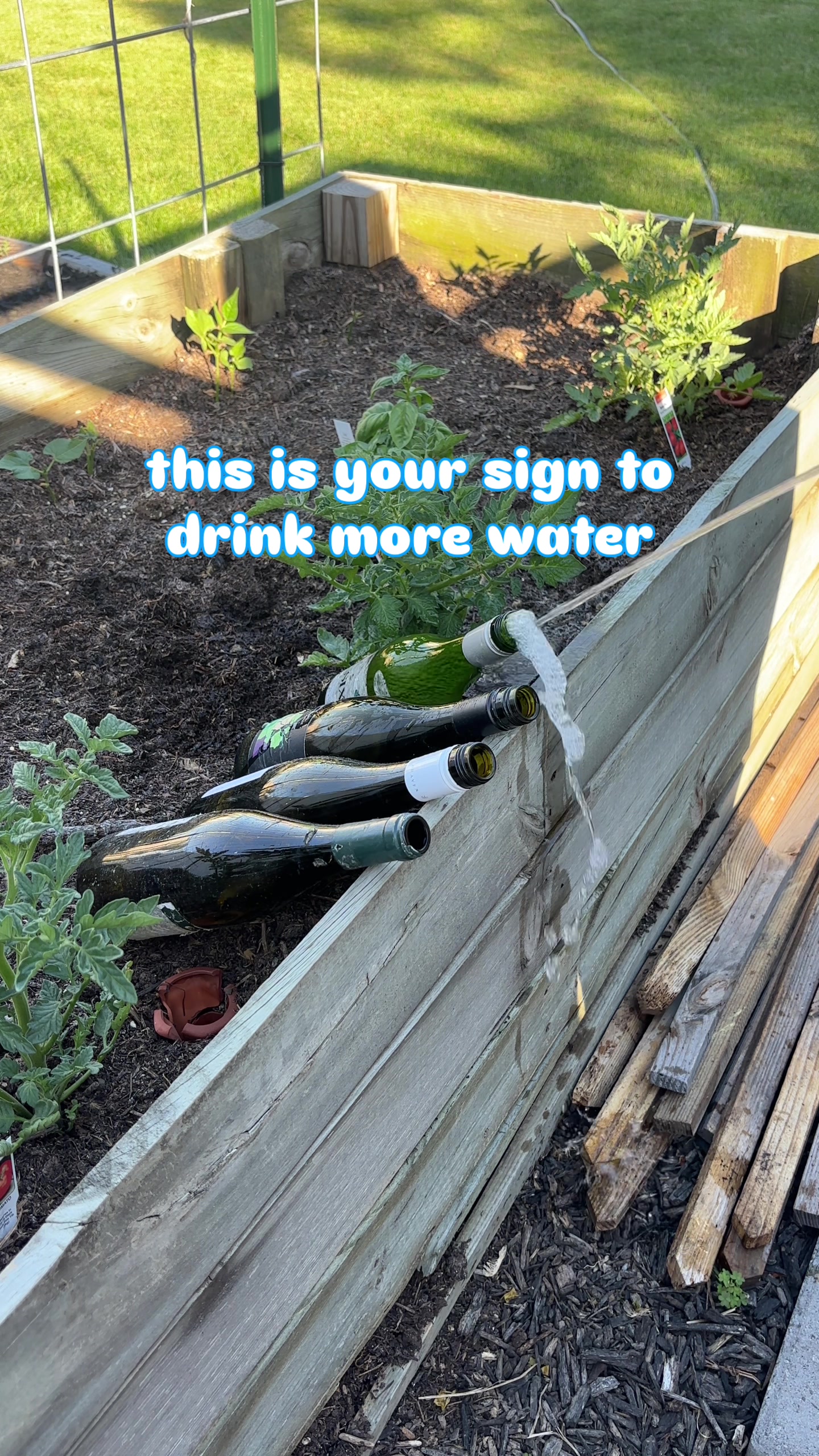 @EMILY