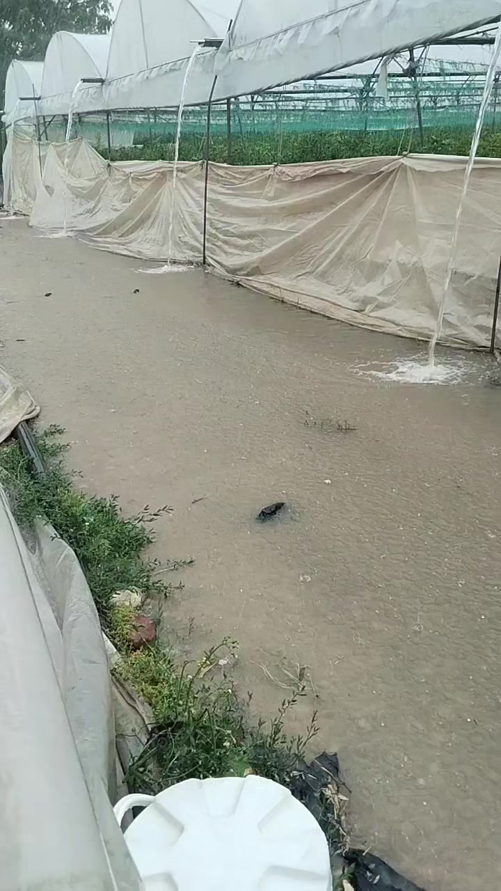 @Ayşe