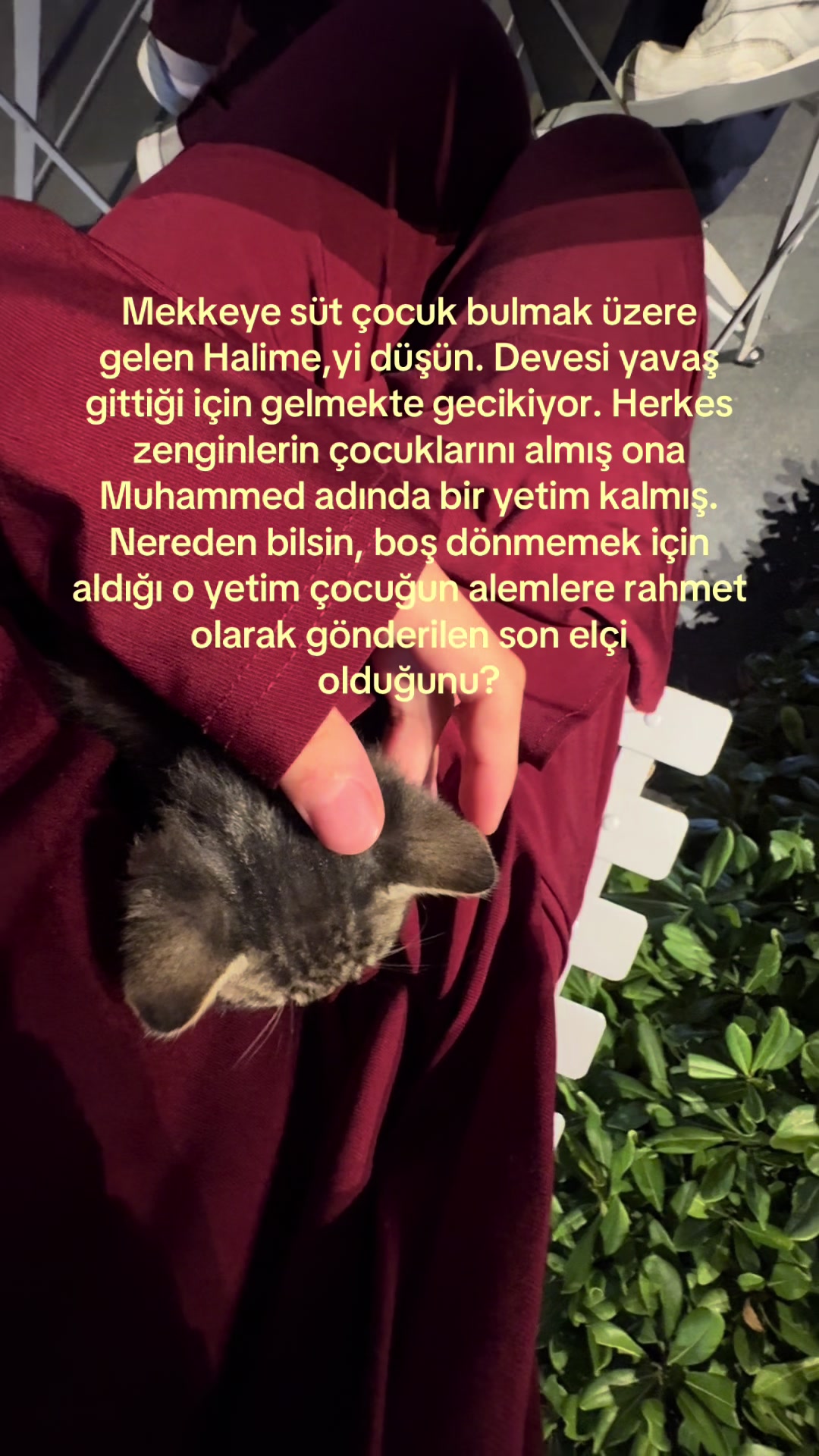 @ℐ̇𝓇ℯ𝓂𐙚˚⋆.ೃ࿔*:･