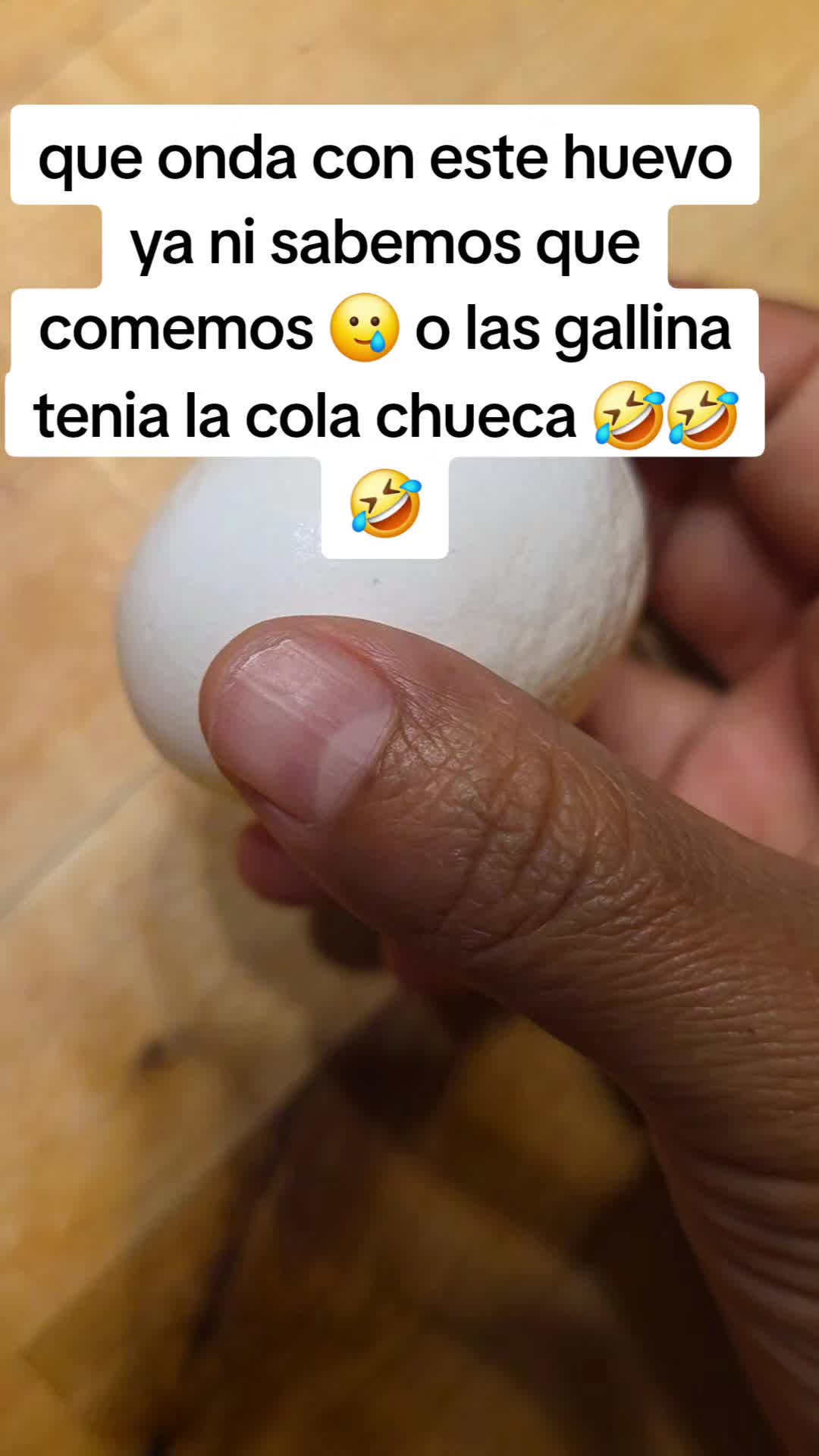 @Guadalupe Ovalle