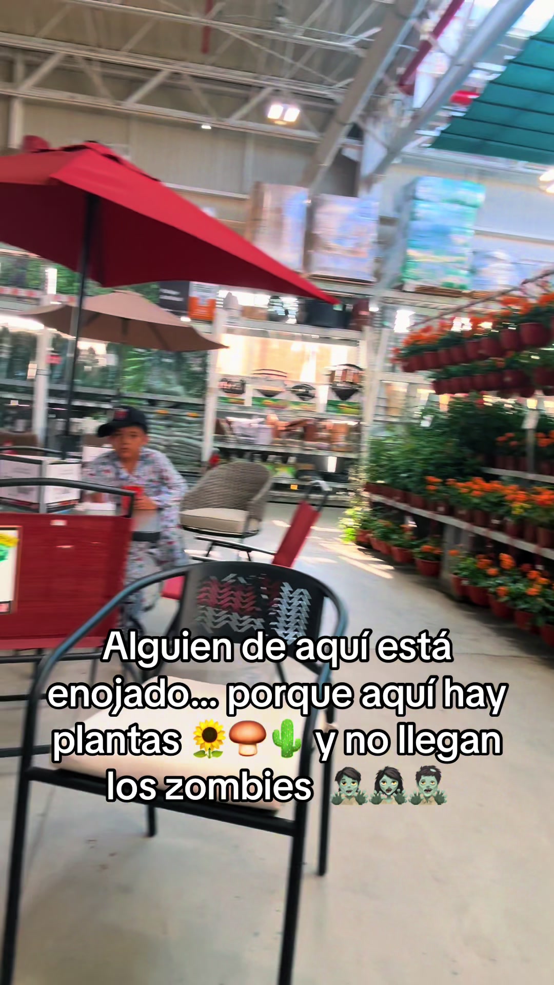 @Luz 🩵