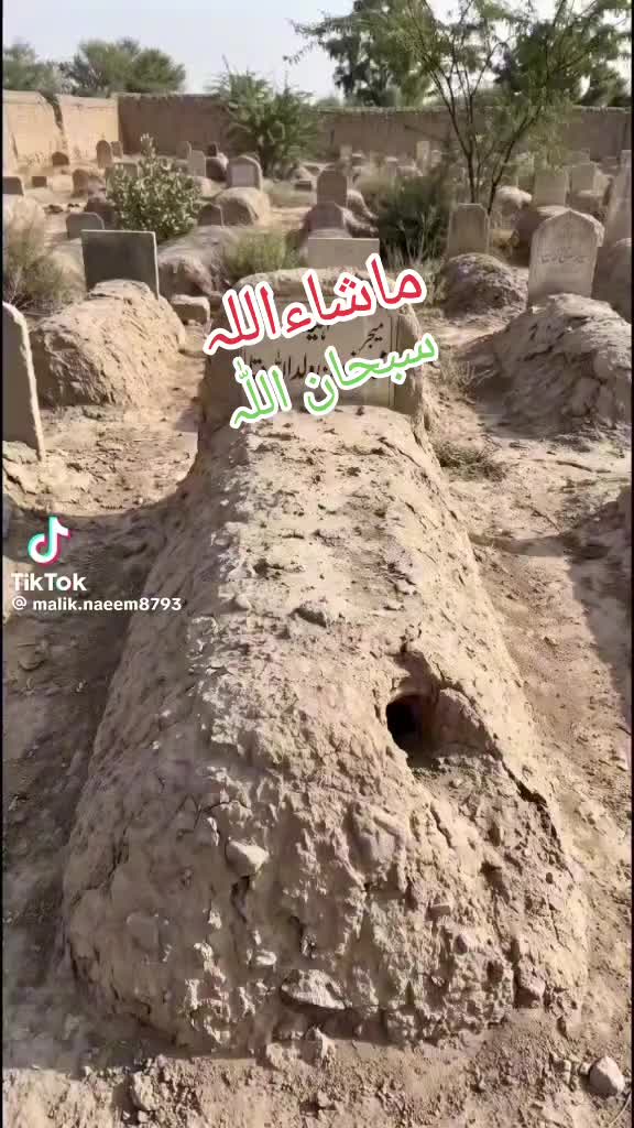 @nadan 778855