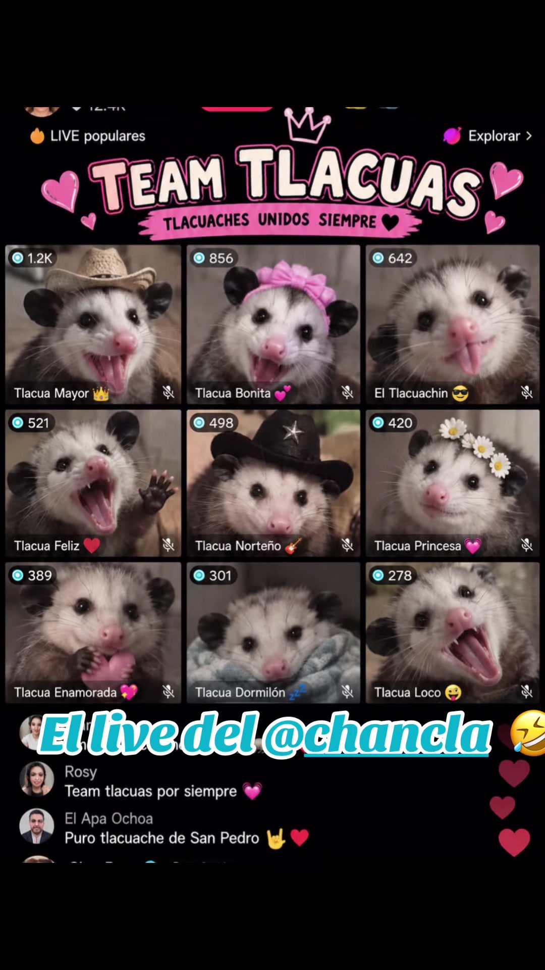 @🎱🎭CLAU DOM 🌸♥️🦋.