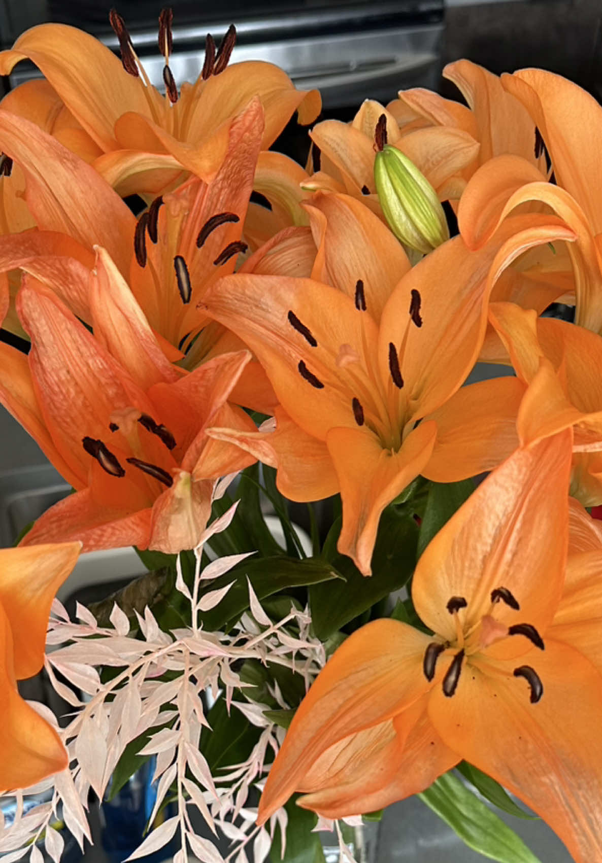 @Kay Aguilar