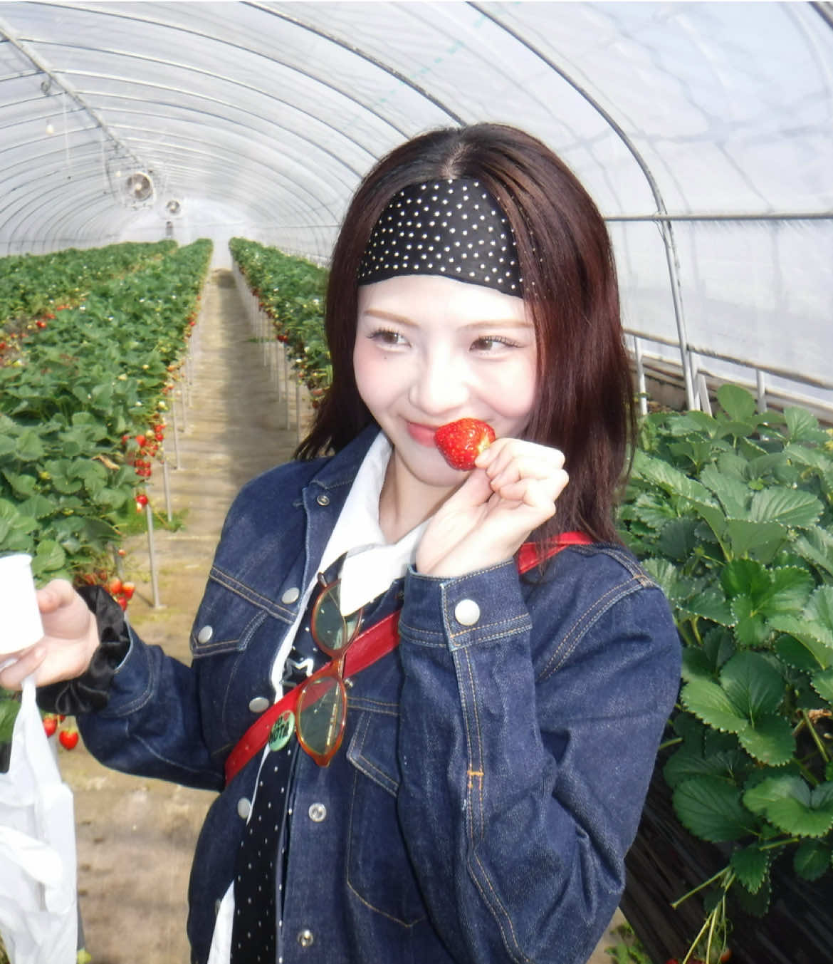 @ノジョ